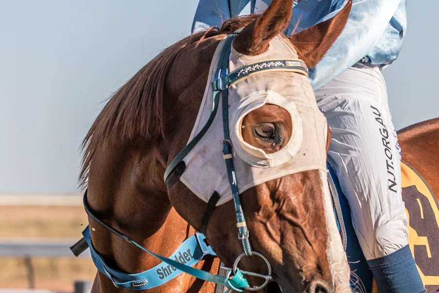 Race day at Julia Creek Turf Club
